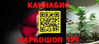 мдпв Бийск