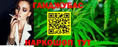 мдпв Бийск