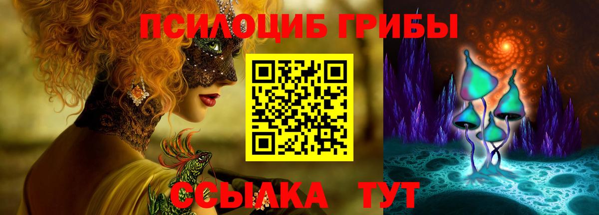 Галлюциногенные грибы Psilocybe Берёзовский